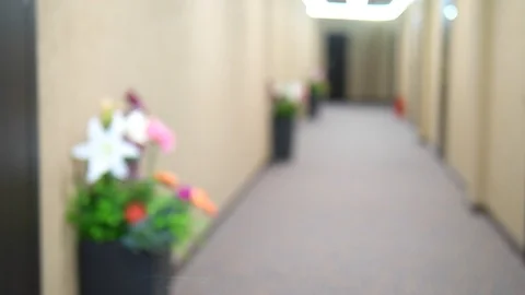 Blurred background. long hallway corridor with flowers in vases Видео 116057734