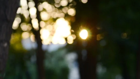 Blurred background of nature Stock Footage 90338280