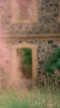 Blurred background of old brick wall with a tree and coral smoke bomb Stock Photos
