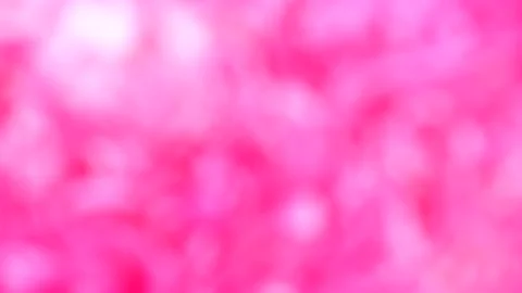 Blurred background out of focus, abstract pink background. Stock Footage 239231829