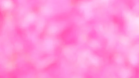 Blurred background out of focus, abstract pink background. Stock Footage 239231886