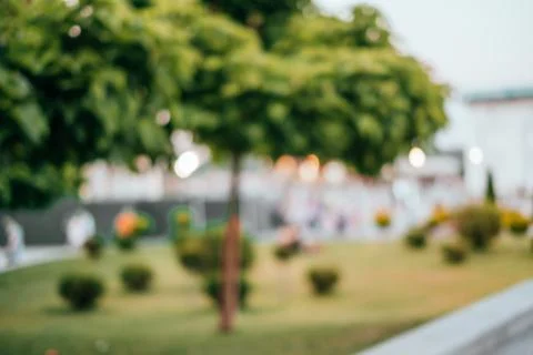Blurred background of park Stock Photos