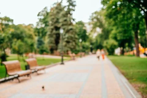 Blurred background of park Stock Photos