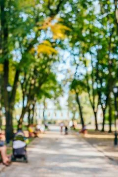 Blurred background of park Stock Photos