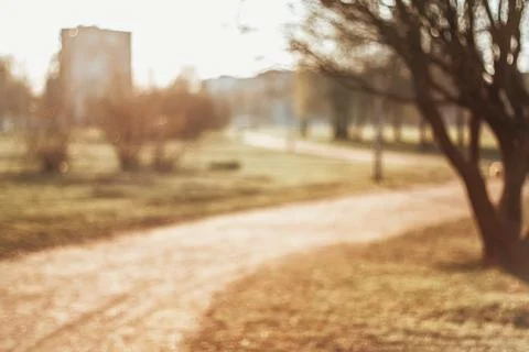 Blurred background of a park Stock Photos