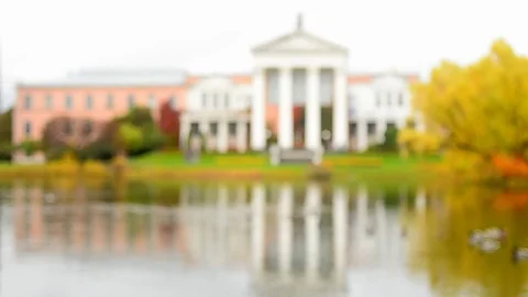 Blurred background of park view Stock Footage 81478463