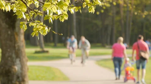 Blurred background of people activities in park. Stock Footage 63963561