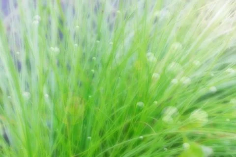 Blurred background Stock Photos