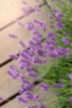 Blurred background 写真素材