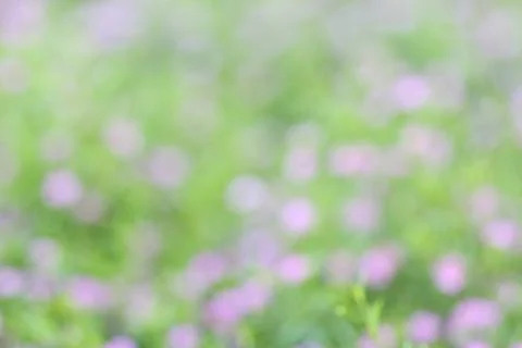 Blurred background Foto stock