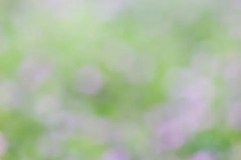 Blurred background Stock Photos