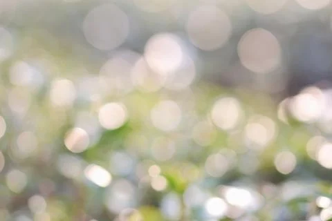 Blurred background Stock Photos