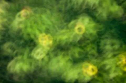 Blurred background Stock Photos