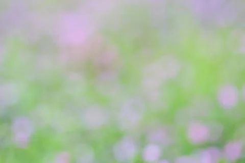 Blurred background Stock Photos