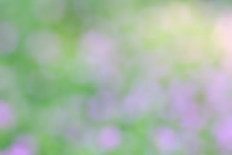 Blurred background Stock Photos