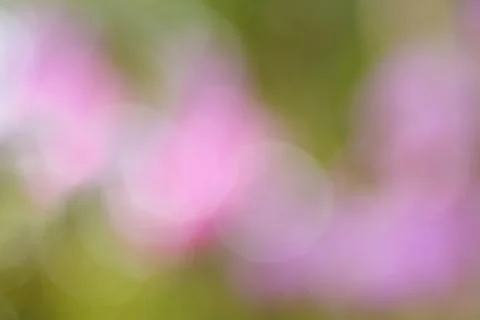 Blurred background Stock Photos