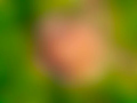 Blurred background. Stock-Fotos