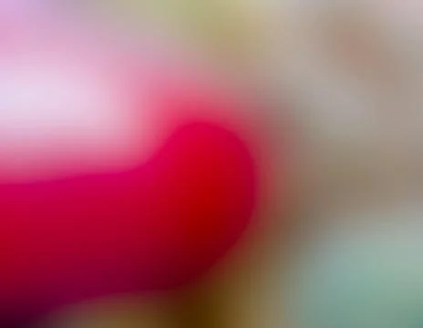 Blurred background. Stock Photos