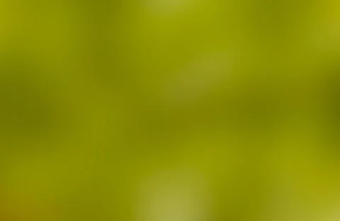 Blurred background. 스톡 사진