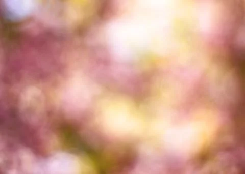 Blurred background Stock Photos