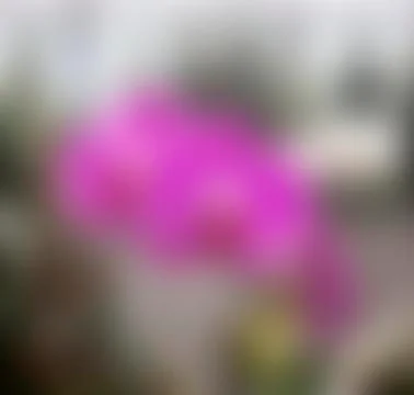 Blurred background Stock Photos