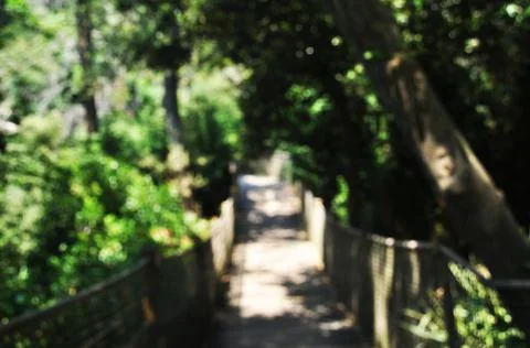 Blurred background. Stock Photos