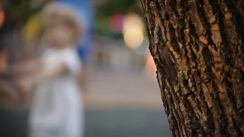Blurred Background Playground with Foreground Bark Tree Video stock 74386178