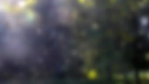 Blurred background. Poplar fluff flies in the forest, background Stock Footage 138320340