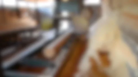 Blurred background. Process of machining logs in equipment sawmill machine saw Stock Footage 138002299