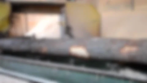 Blurred background. Process of machining logs in equipment sawmill machine saw Stock Footage 138003357