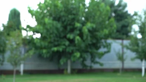 Blurred background, rain on a country plot Stock Footage 282349326