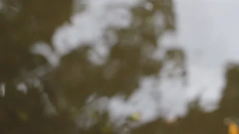 Blurred background of raindrops falling in a puddle Stock Footage 158976271