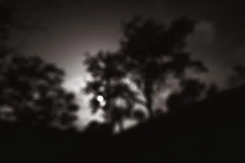 Blurred background with the rays of the evening sun Stock Photos