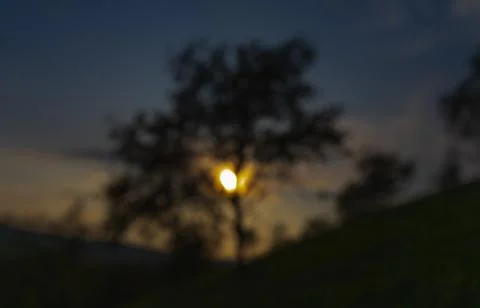 Blurred background with the rays of the evening sun Stock Photos