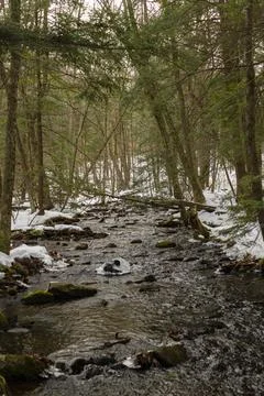 Blurred background of river in middle of forest with snow. Stock Photos