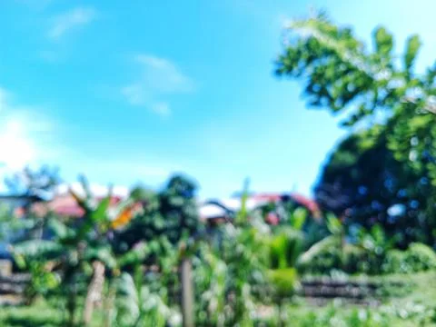 Blurred background scenery around the environment. Stock-Fotos