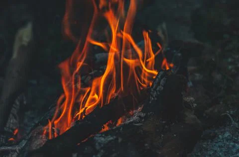 Blurred background. Small flame dying fire, bright red-orange flame. Cozy war Stock Photos