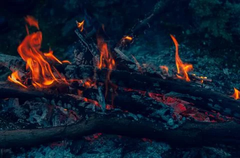Blurred background. Small flame dying fire, bright red-orange flame. Cozy war Stock Photos