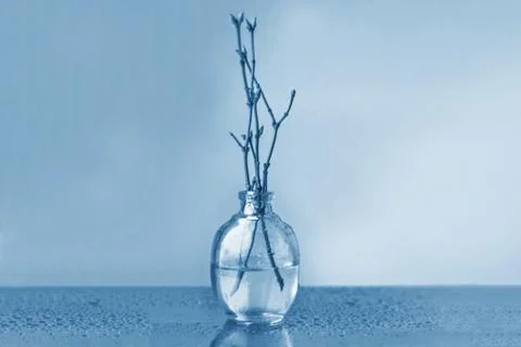On a blurred background, a small vase with branches on which buds on a bokeh  Stock Photos