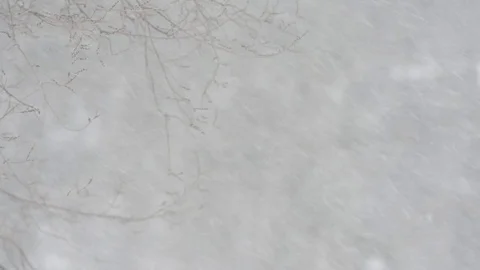 Blurred background, snow blizzard and strong wind. Stock Footage 86484222