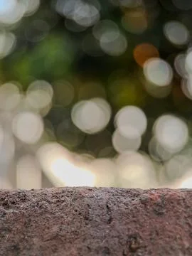 Blurred background with soft, circular bokeh lights and a textured foregrou.. Stock Photos