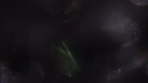 Blurred background with sparkling bokeh light leaks with crystal colored bokeh o Vídeos de archivo 319393875