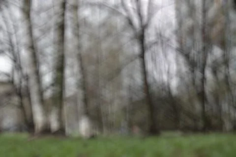 Blurred background spring tree park bench Foto stock