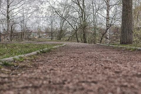 Blurred background spring tree park bench 스톡 사진