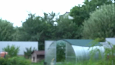 Blurred background, strong wind in cloudy weather on a country plot Stock Footage 281712356