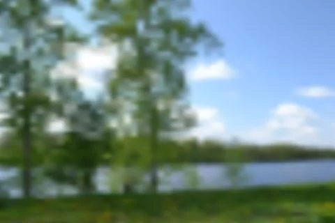 Blurred background of a summer landscape Stock Illustration