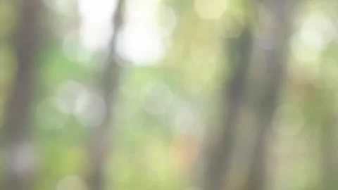 Blurred background. Sun break Stock Footage 271131960