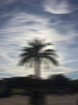 Blurred background, sunset by the coconut tree on the seashore. Defocused on the Stock Photos