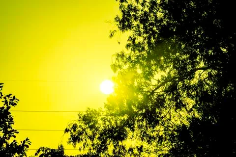 Blurred background of sunset light shine through the tree, Silhouetted orange Stock Photos