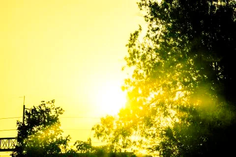 Blurred background of sunset light shine through the tree, Silhouetted orange Stock Photos